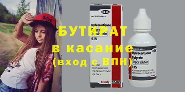 гидра Ельня