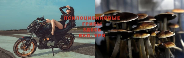 синтетический гашиш Алексин