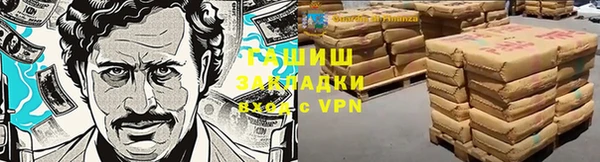 дмт Алзамай