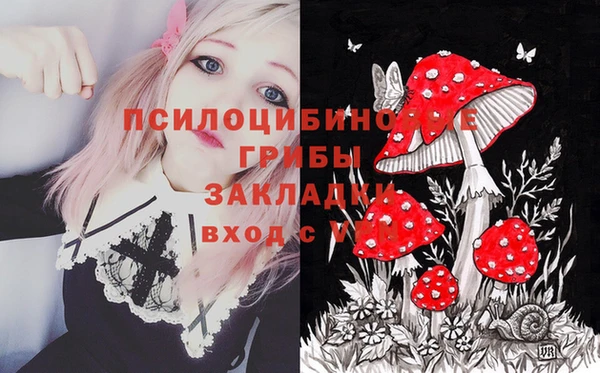 дмт Алзамай